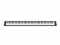 Teclados controladores midi até 88 teclas Carry on   Folding Piano 88 Touch Black
