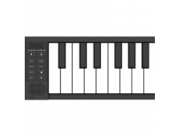carry-on-piano-88-black_61f1246c5994b.jpg