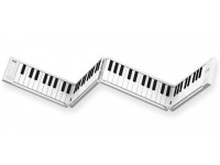 carry-on-piano-88_5fe4851825615.jpg
