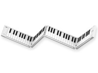 carry-on-piano-88_62ac526002835.jpg