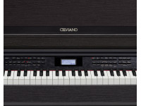 casio-ap-650-mbk-celviano_6126491c45ffe.jpg