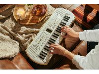 casio-sa-80_67c71f3793b55.jpg