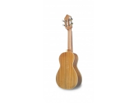 cavaquinho-apc-108_5db0088cf2d40.jpg