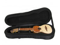 cavaquinho-apc-109_602a9c4bdd4e5.jpg