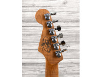 charvel-guthrie-govan-hsh-cooked-ash_60e584aa51cad.jpg