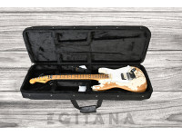 charvel-ltd-sc-1-henrik-danhage-relic_640b19a31c0d5.jpg