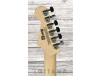 charvel-pro-mod-sd1-2h-fr-sw_635029228c747.jpg