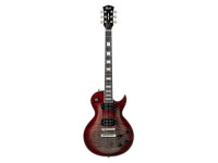 cort-cr300-deluxe-lvb_6a3beb0d6dec2.jpg