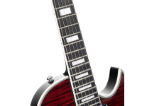 cort-cr300-deluxe-lvb_6a3beb1d6aa2f.jpg