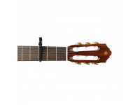 daddario-capo-transpositor-pw-cp-13_63a98ff17cf08.jpg