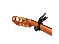 daddario-capo-transpositor-pw-cp-13_63a98ff1d39d2.jpg