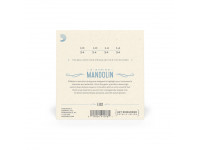 daddario-ej62-80-20-bronze-mandolin-strings-light-10-34_63add00132924.jpg