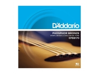 daddario-epbb170_5c6bf58a45681.jpg