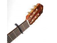 daddario-pw-cp-04_601bdfe24e515.jpg