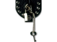 dimarzio-dd2100n_60fe725f0e376.jpg