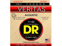 dr-strings-veritas-acoustic-vta-11_679a4a6c9ca9e.jpg