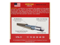 dr-strings-veritas-acoustic-vta-11_679a4a6fb80fb.jpg