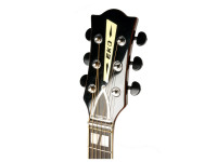 eko-ranger-vi-vr-eq-honey-burst_63cfb5afb7288.jpg