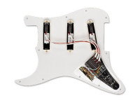 emg-dg20-kit-pickguard-david-gilmour_66eaa06b23694.jpg