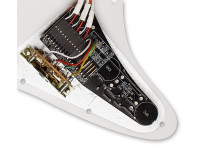 emg-dg20-kit-pickguard-david-gilmour_66eaa06df06a4.jpg