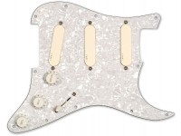 emg-dg20-kit-pickguard_5eda5cc9af16c.jpg