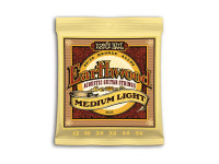 ernie-ball-earthwood-bz-medium-light-12-54_659be1ce4ac7e.jpg