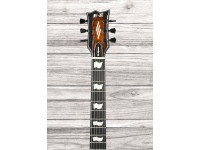 esp-e-ii-eclipse-tiger-eye-sunburst_6a58b00aa9e54.jpg