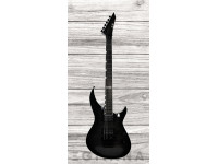 esp-e-ii-horizon-iii-fm-fr-stblk_635bfb22be121.jpg