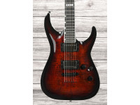 esp-e-ii-horizon-nt-ii-emg-stbcsb_69299c7fc20de.jpg