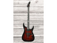esp-e-ii-horizon-nt-ii-emg-stbcsb_69299ca35573f.jpg