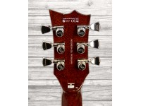 esp-ltd-ec-1000fm-amber-sunburst_5fb4f7d837eea.jpg