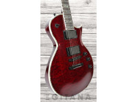 esp-ltd-ec-1000qm-stbc_6374b92ddf08e.jpg