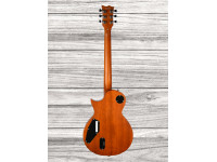 esp-ltd-ec-1000t-honey-burst-satin_6422a5cdcc9e4.jpg