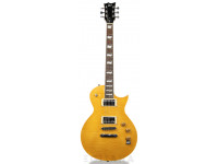 esp-ltd-ec-256-vn_604b3d6347377.jpg
