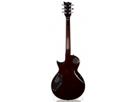 esp-ltd-ec-256fm-dbsb_604bb3086ed00.jpg