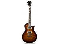 esp-ltd-ec-256fm-dbsb_604bb30cab27a.jpg