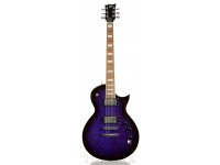 esp-ltd-ec-256fm-stpsb_604bb33899c4f.jpg