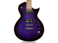 esp-ltd-ec-256fm-stpsb_604bb33c43a24.jpg