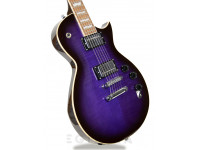esp-ltd-ec-256fm-stpsb_604bb33d24436.jpg