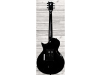 esp-ltd-gh-600-gary-holt_6207a7bbe4883.jpg