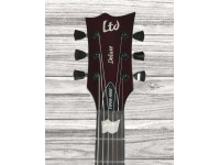 esp-ltd-viper-1000-black-cherry_6421b38bbe6d3.jpg