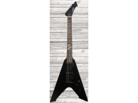 esp-ltd-vulture-bks-hetfield_5f3c06c7afa82.jpg