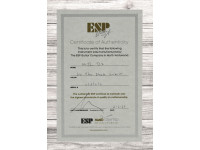 esp-m-ii-dx-see-thru-black-sunburst_691ee86d3680c.jpg