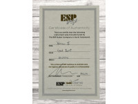 esp-usa-horizon-ii-fm-emg-bh-lynchburst_6920781500517.jpg