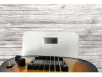esp-usa-horizon-ii-fm-emg-bh-lynchburst_6920781ad0616.jpg