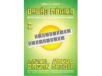 eurico-a-cebolo-orgao-magico-2_5624cde21478b.jpg