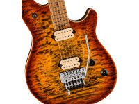 evh-evh-wolfgang-special-qm-tigereyeg_66e3f7f39952e.jpg