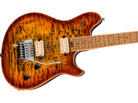 evh-evh-wolfgang-special-qm-tigereyeg_66e3f7f91ee52.jpg
