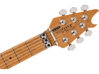 evh-evh-wolfgang-special-qm-tigereyeg_66e3f80035120.jpg