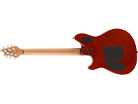 evh-evh-wolfgang-special-qm-tigereyeg_66e3f80831e4e.jpg